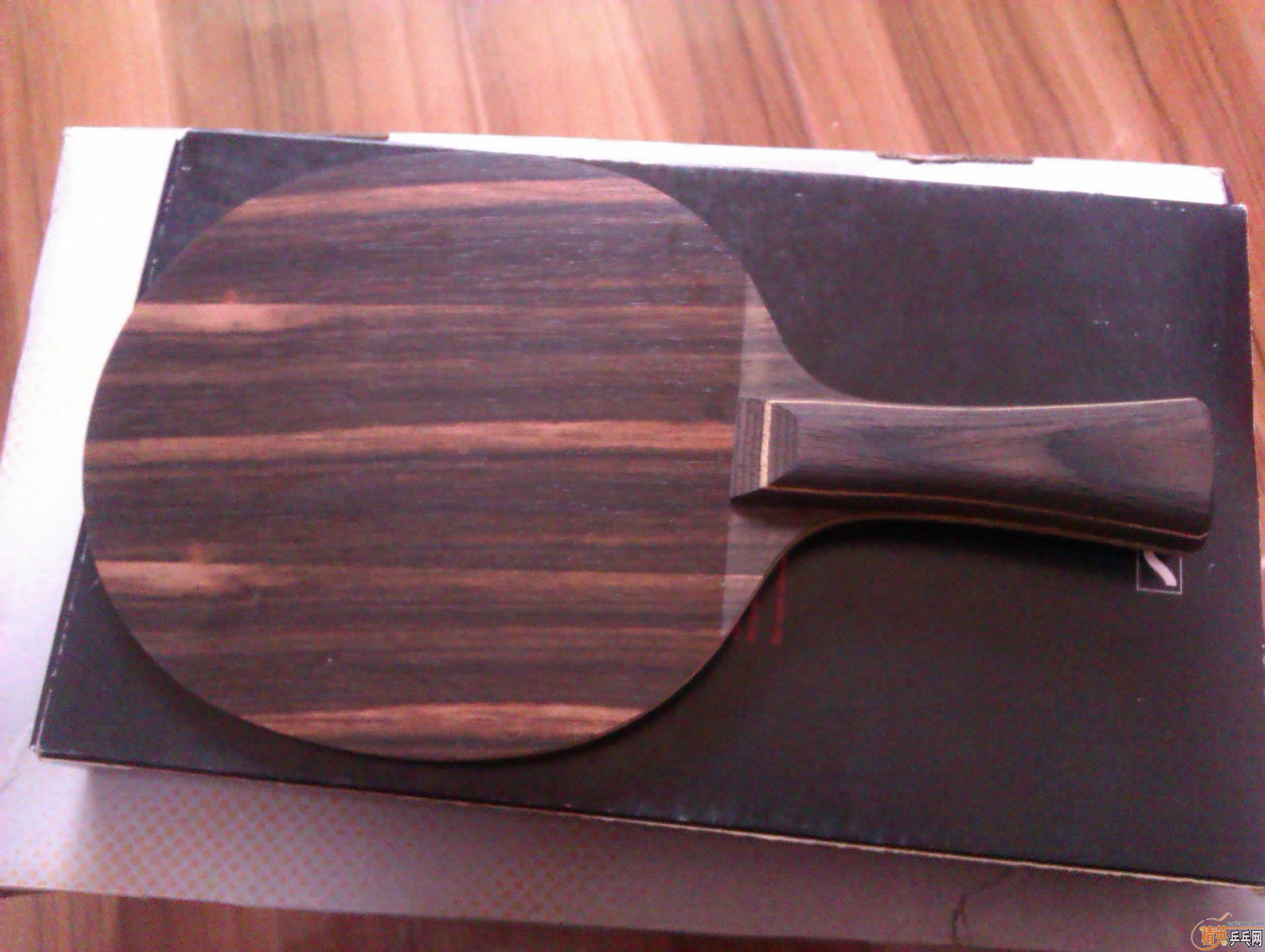 ŷ���̴5 FL   ������˹ƹ��Ь