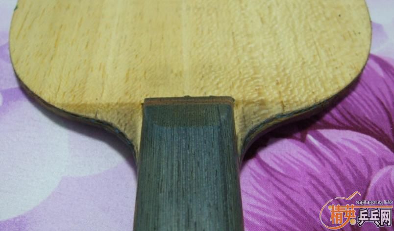 16��壬����AN��̼������VIS����STTBS������Ũ��̼�ȡ�