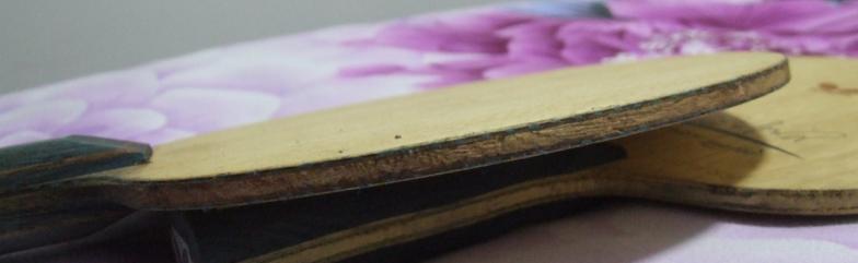 16��壬����AN��̼������VIS����STTBS������Ũ��̼�ȡ�