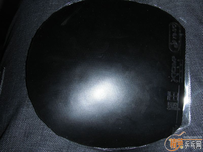 ֻ���˼��εĽ���  Ψ�ѻ�Ȧ