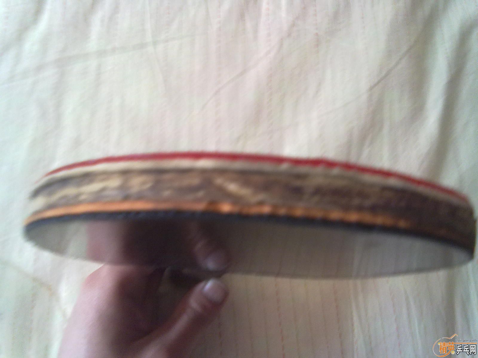 [ԭ��]������ALL HINOKI CS-5�װ���׽�300����