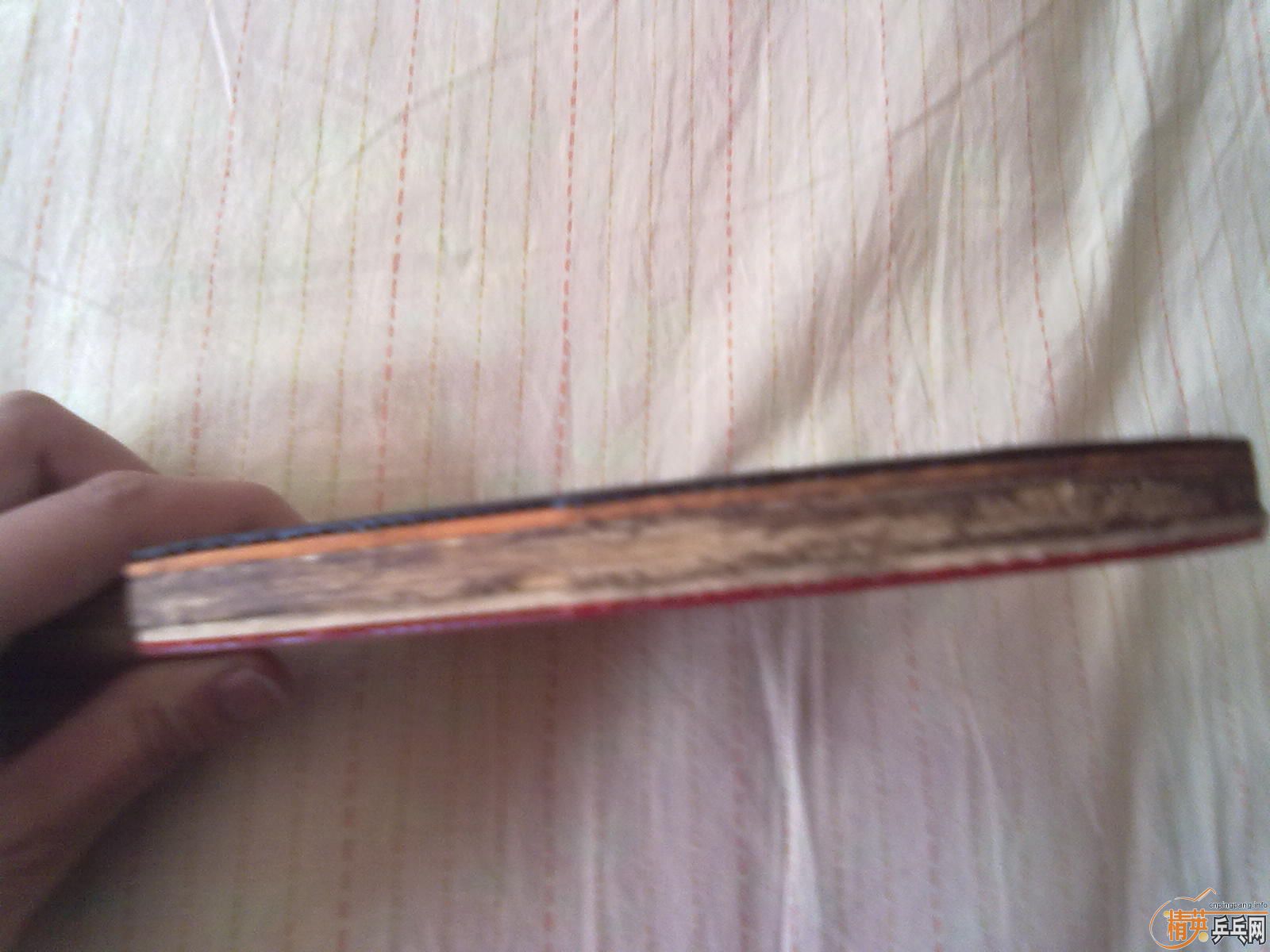 [ԭ��]������ALL HINOKI CS-5�װ���׽�300����