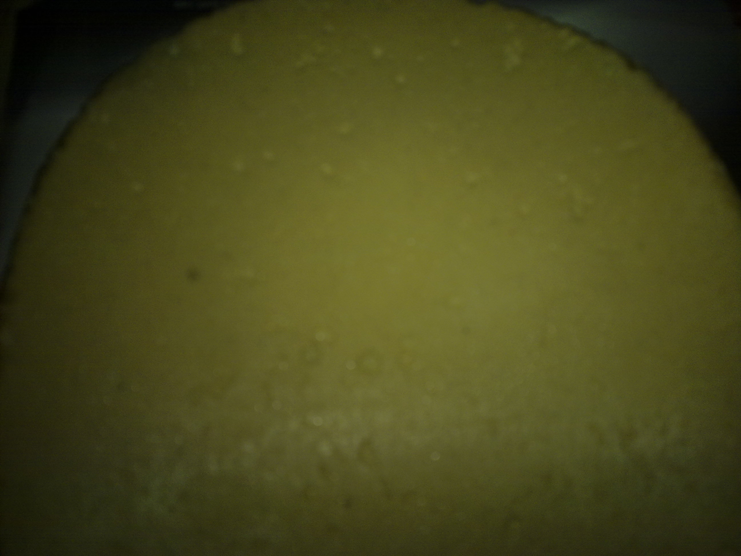 ������10����655��T64��F2��S1���׽����ǰײ˼ۣ�������������������������������Ҫ������