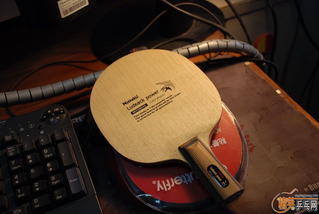 [����]����ƹ�� �����ӣ������հ�YEO)