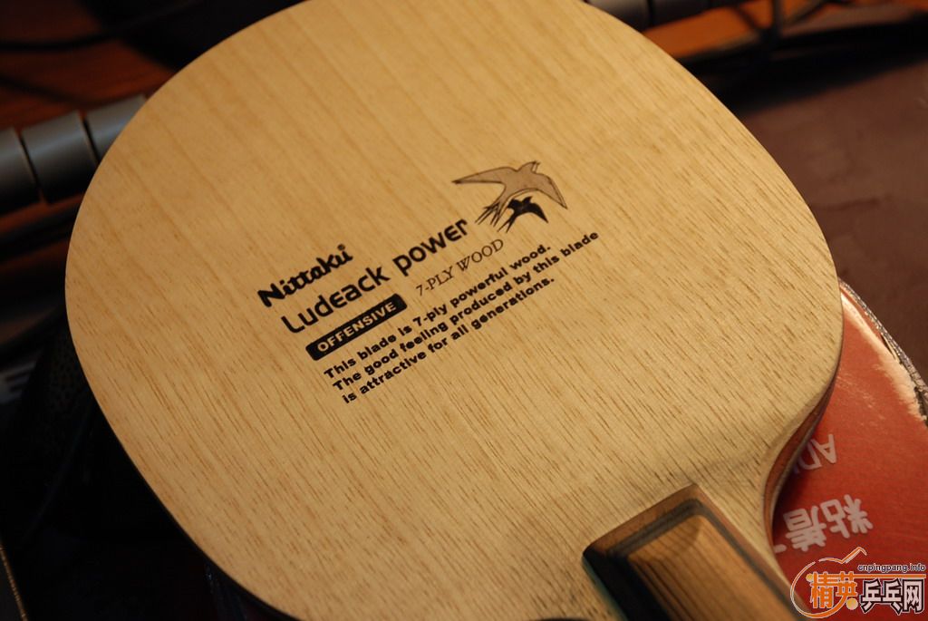 [����]����ƹ�� �����ӣ������հ�YEO)