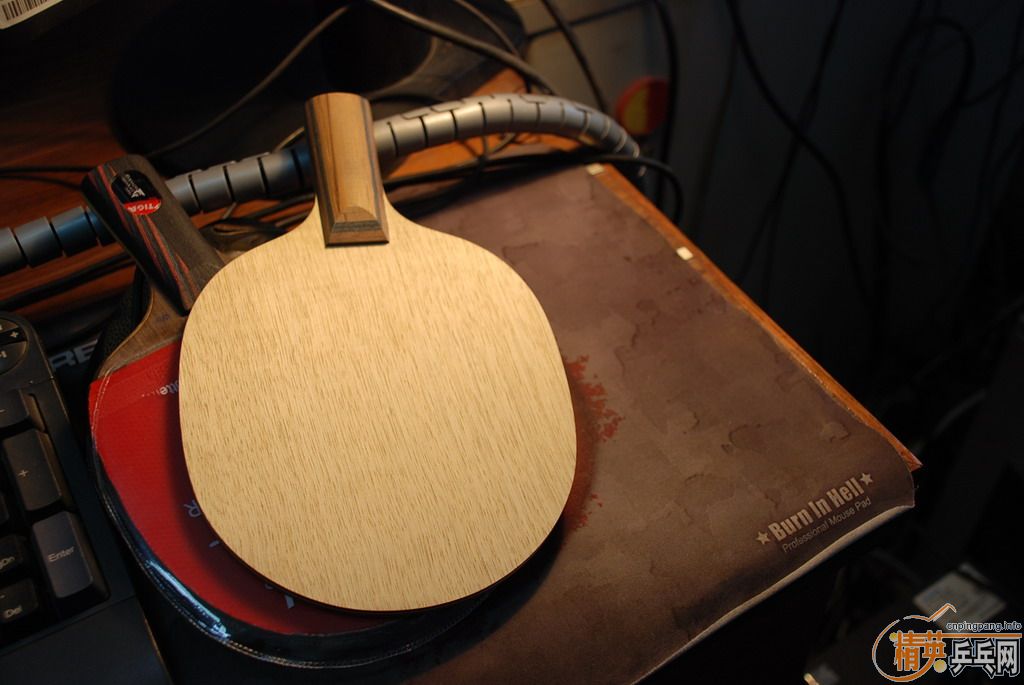 [����]����ƹ�� �����ӣ������հ�YEO)