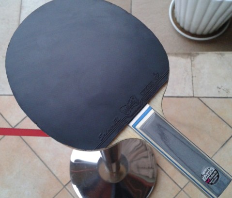 �����ı�ST VIS ϲ�������ѽ��������ǳ���������һ֧��