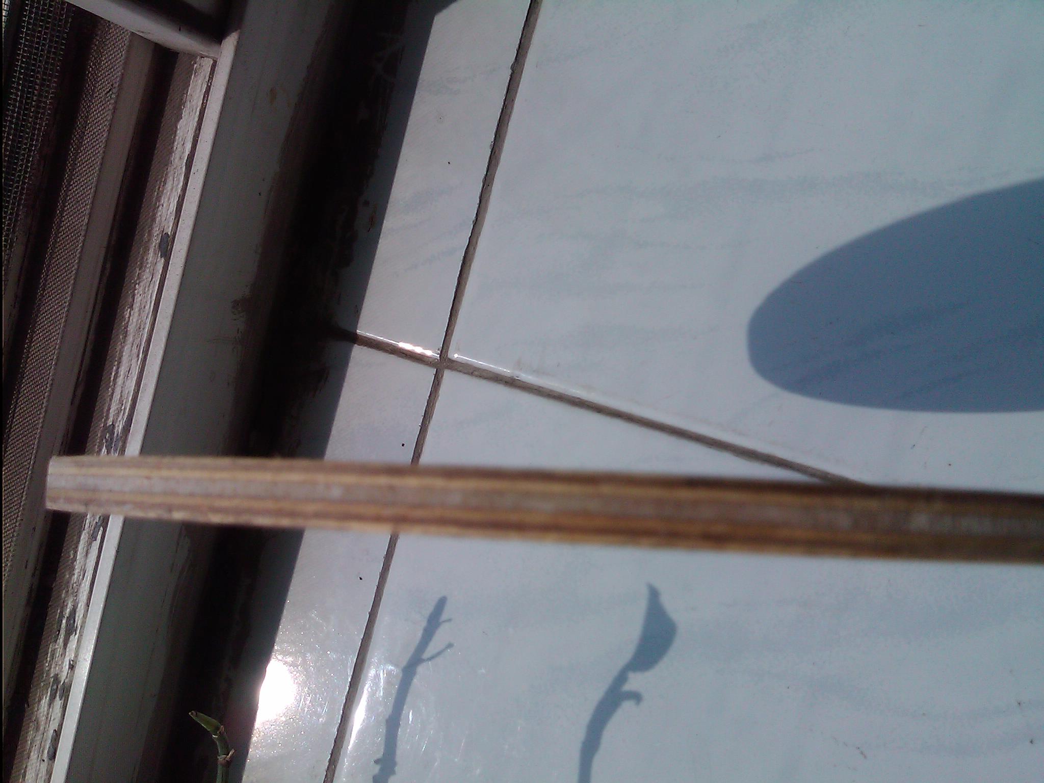 ��ͦ�κ�ը��BOMBER ƹ�ҵװ�