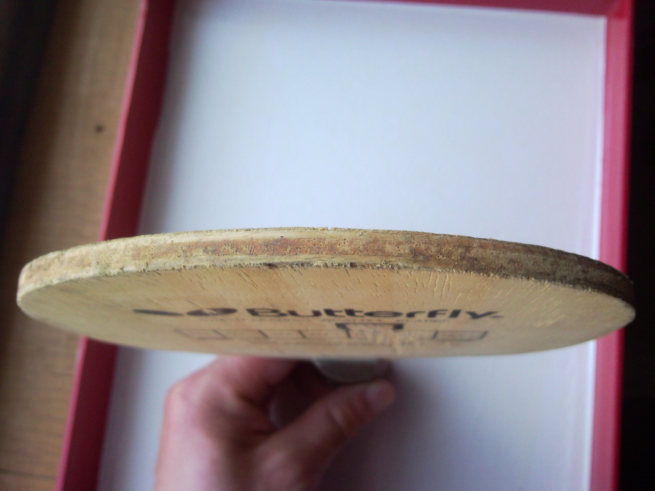 �����ƺ���ֱ��100Ԫ���죬֧�������ס�