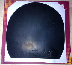 ��baracuda������X1������̽��