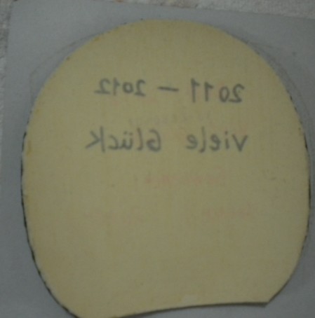 �¹�ͦ���׽���ɫ����