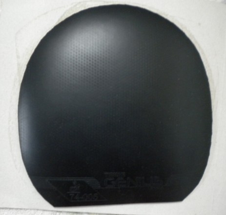 �¹�ͦ���׽���ɫ����