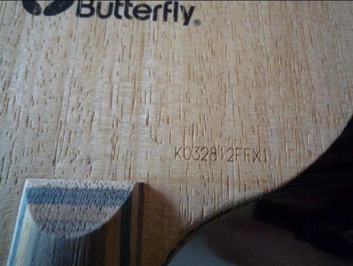 [ԭ��]��~~~~������ɿ����ִ���~~~~~