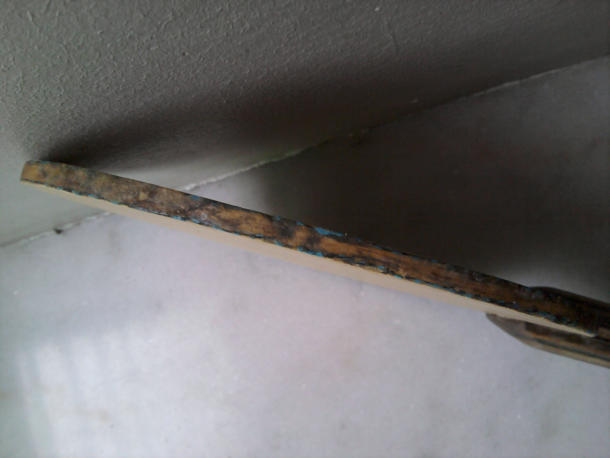 ������������VIS-��������350Ԫ���룩