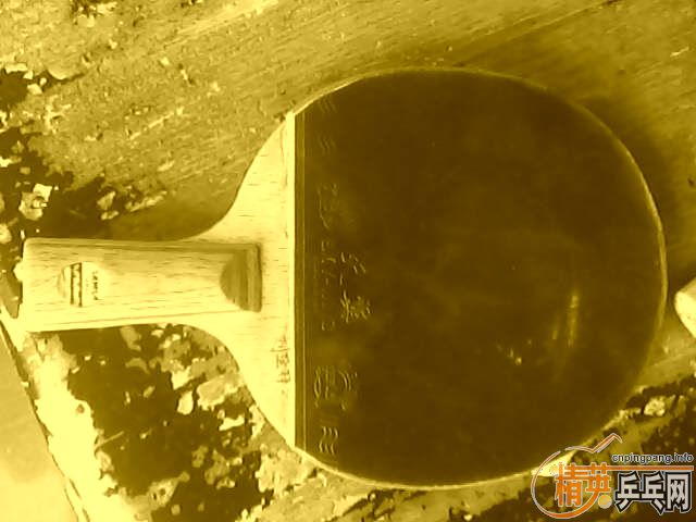 ת������ƹ�����ģ�