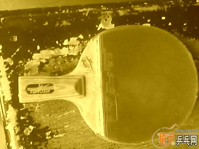 ת������ƹ�����ģ�