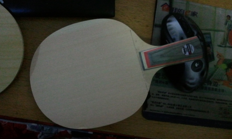 ~~~~~��֧�������� ��̼�������̩��˹ķ~~~~~~