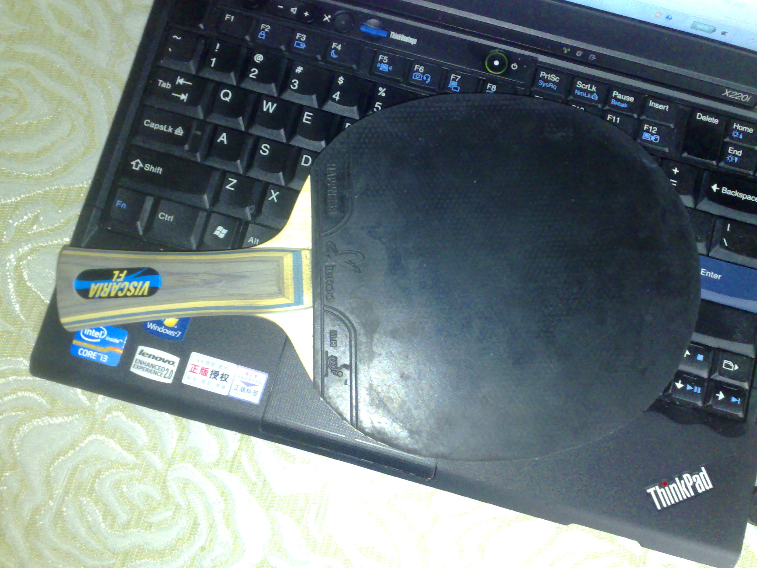 ����һ֧�������װ�Viscaria FL 900Ԫ