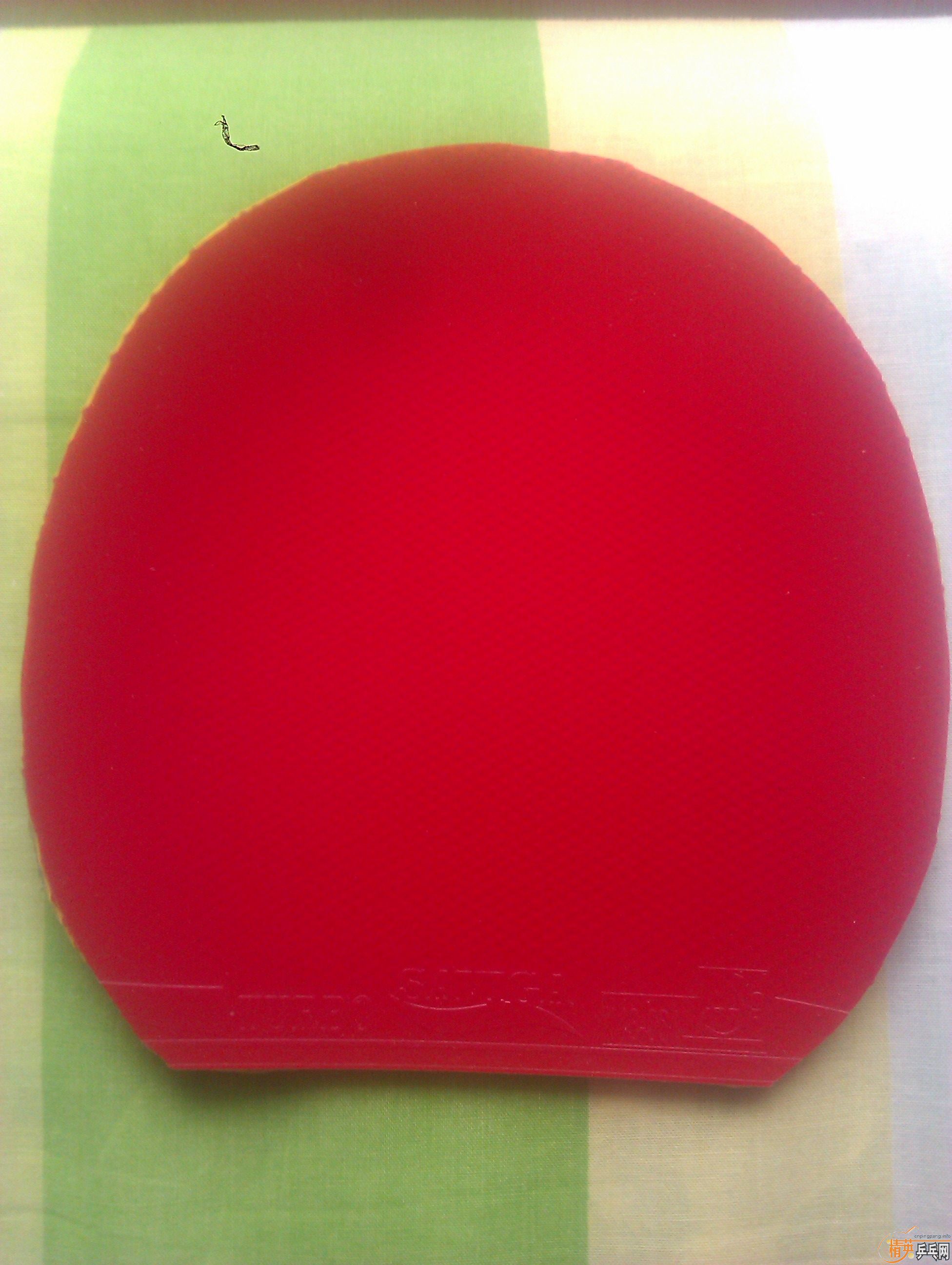 ������ �������������ʹ�׵Ľ�Ƥ