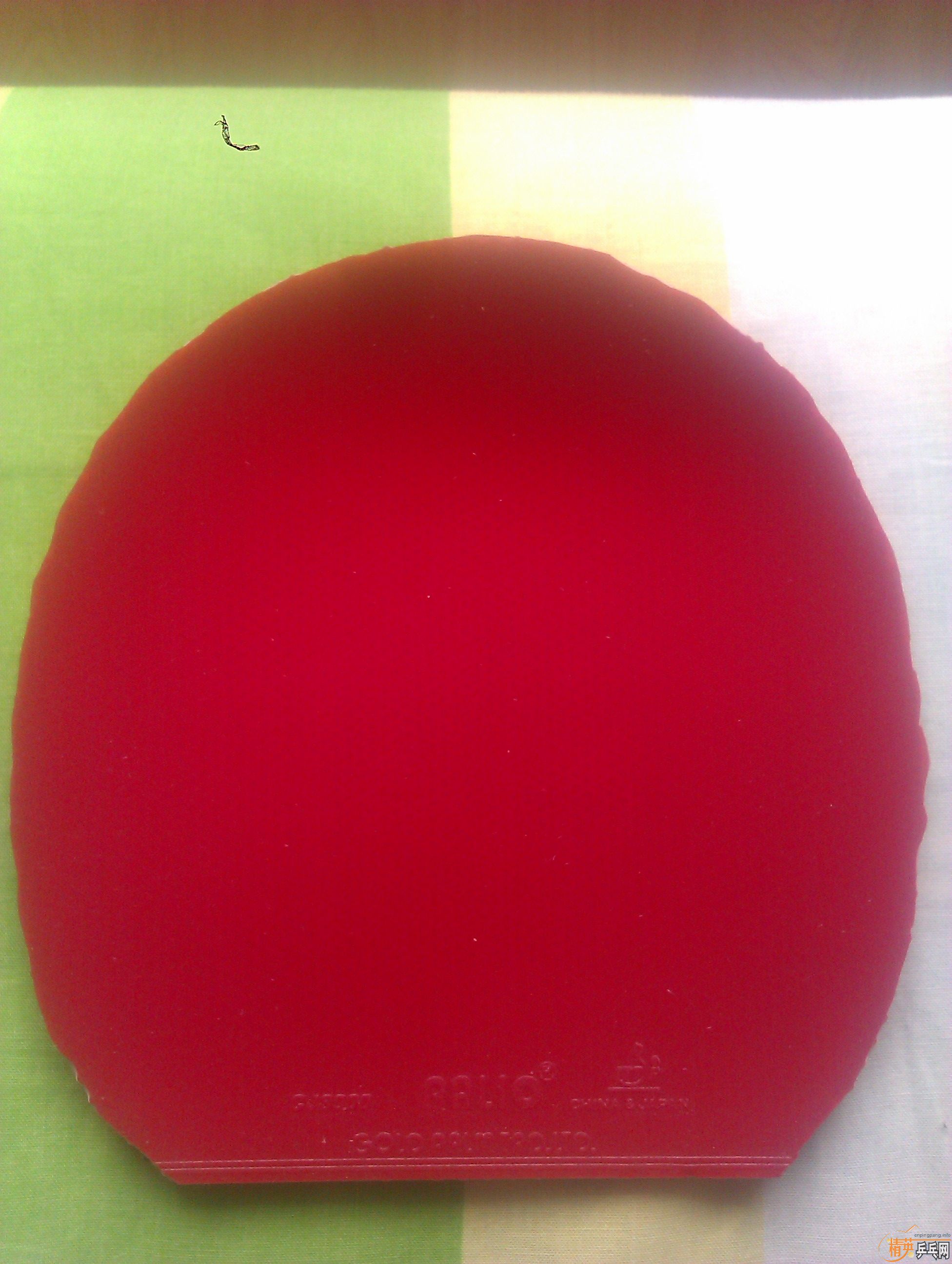 ������ �������������ʹ�׵Ľ�Ƥ