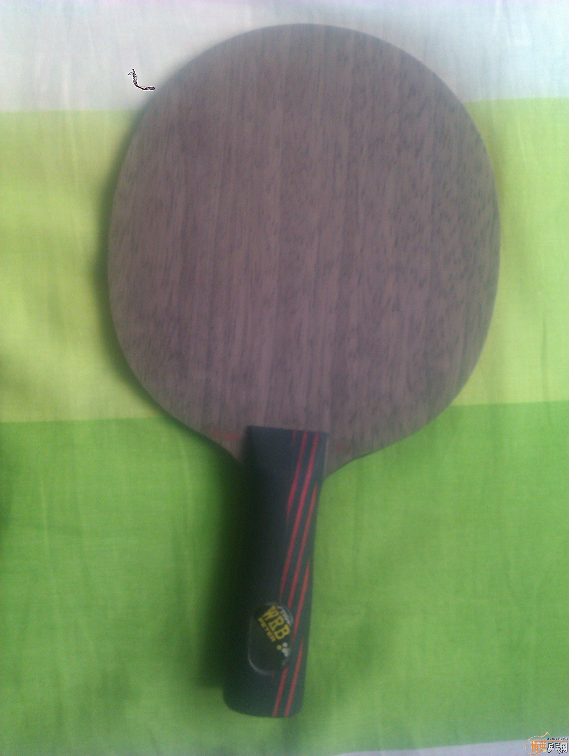 ���� �Ʊ� ���̼��