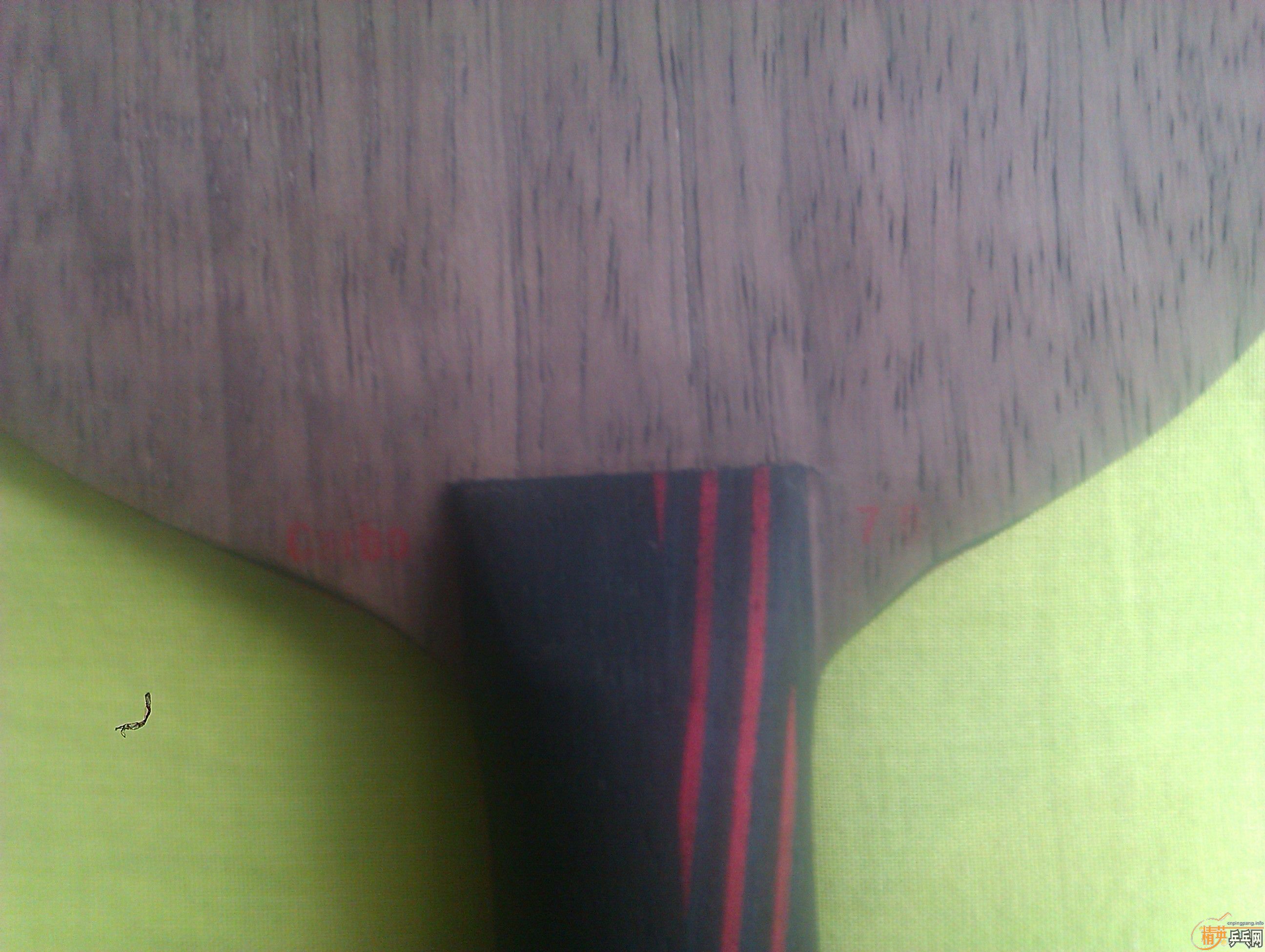 ���� �Ʊ� ���̼��