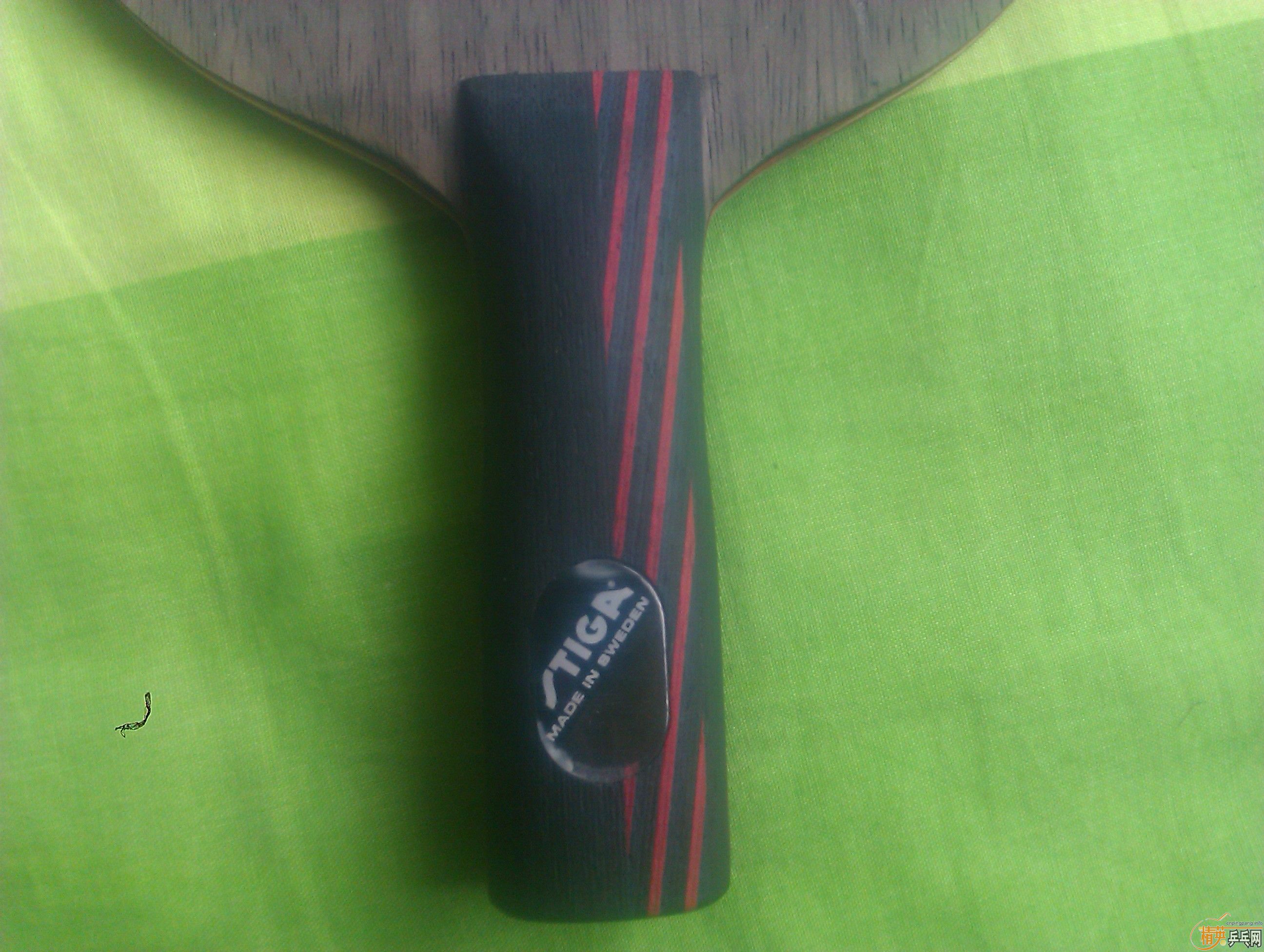 ���� �Ʊ� ���̼��