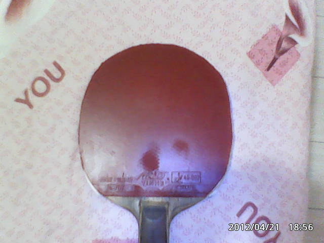 ������С��390��������̫��רҵ�׽����Ϻ��ࣩ���������׽�