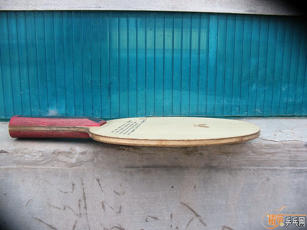 �����ѳ�һֻFLˮ����800����