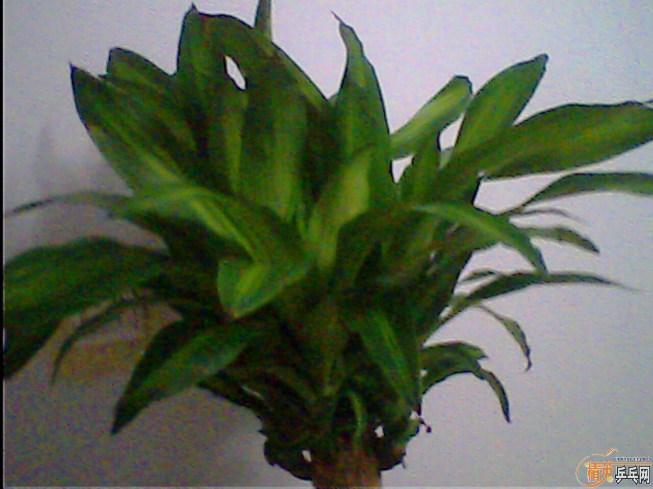 ���������װ�����ʩ̼�ͽ���3����