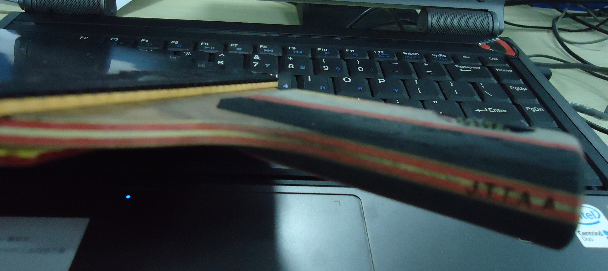 [ԭ��]��������l���հ�88��yes,��295����;������oc