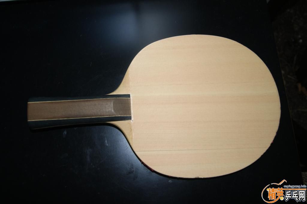 Nittaku  SEPTEAR װ