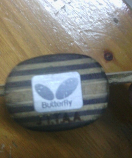 �Ʊ���������280���������ֿ���40�ȣ����ֽ���1