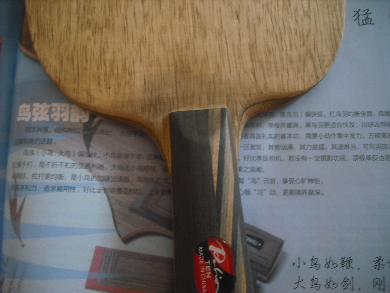 [��ˮ]���ѷ���������60���ʣ�����E1������һ�������