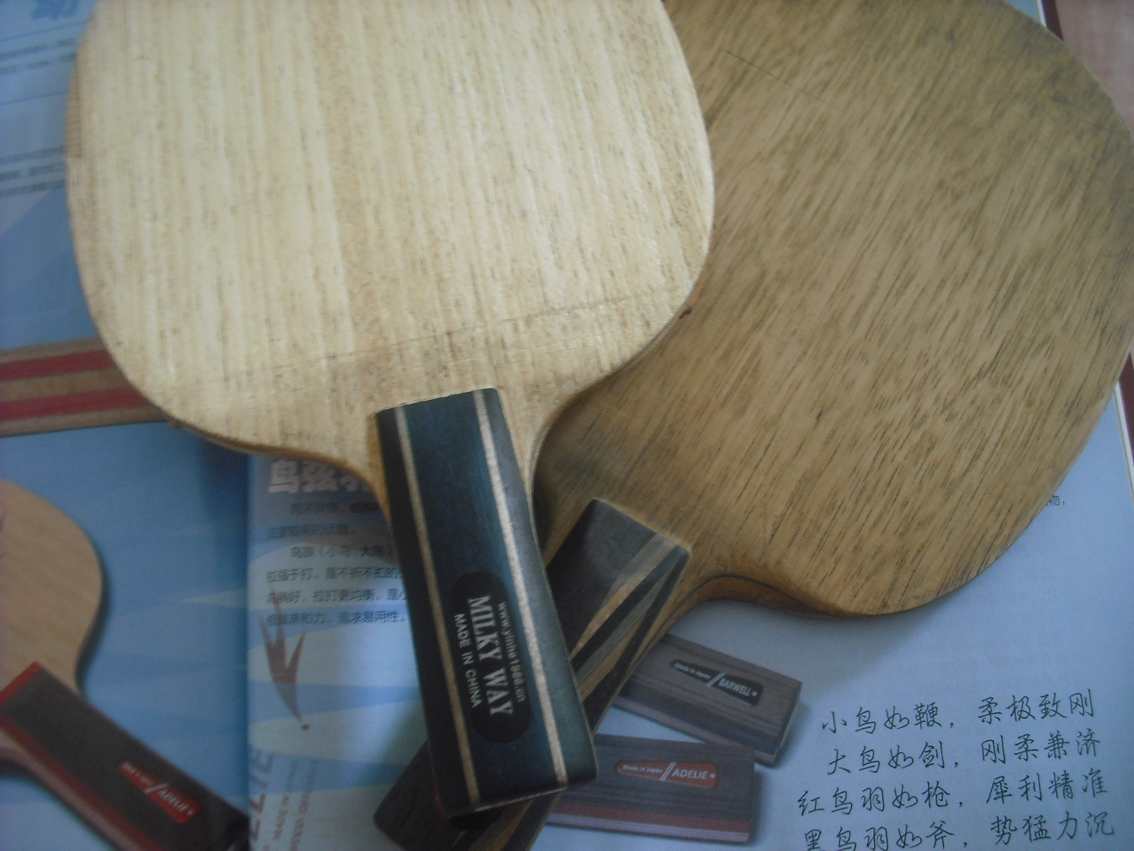 [��ˮ]���ѷ���������60���ʣ�����E1������һ�������