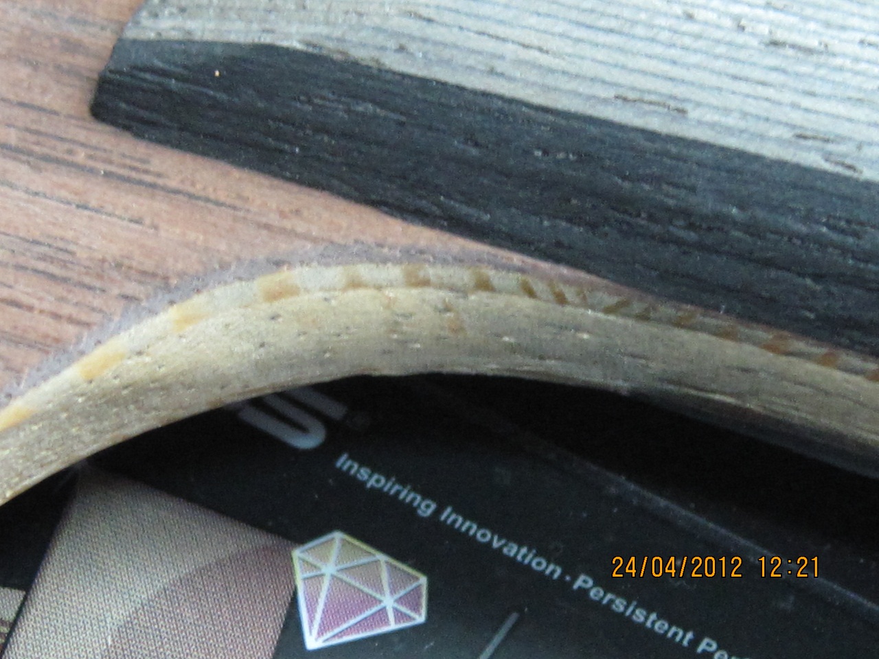 ���հ�YEO��Ҫ���ٶ��ˡ�����