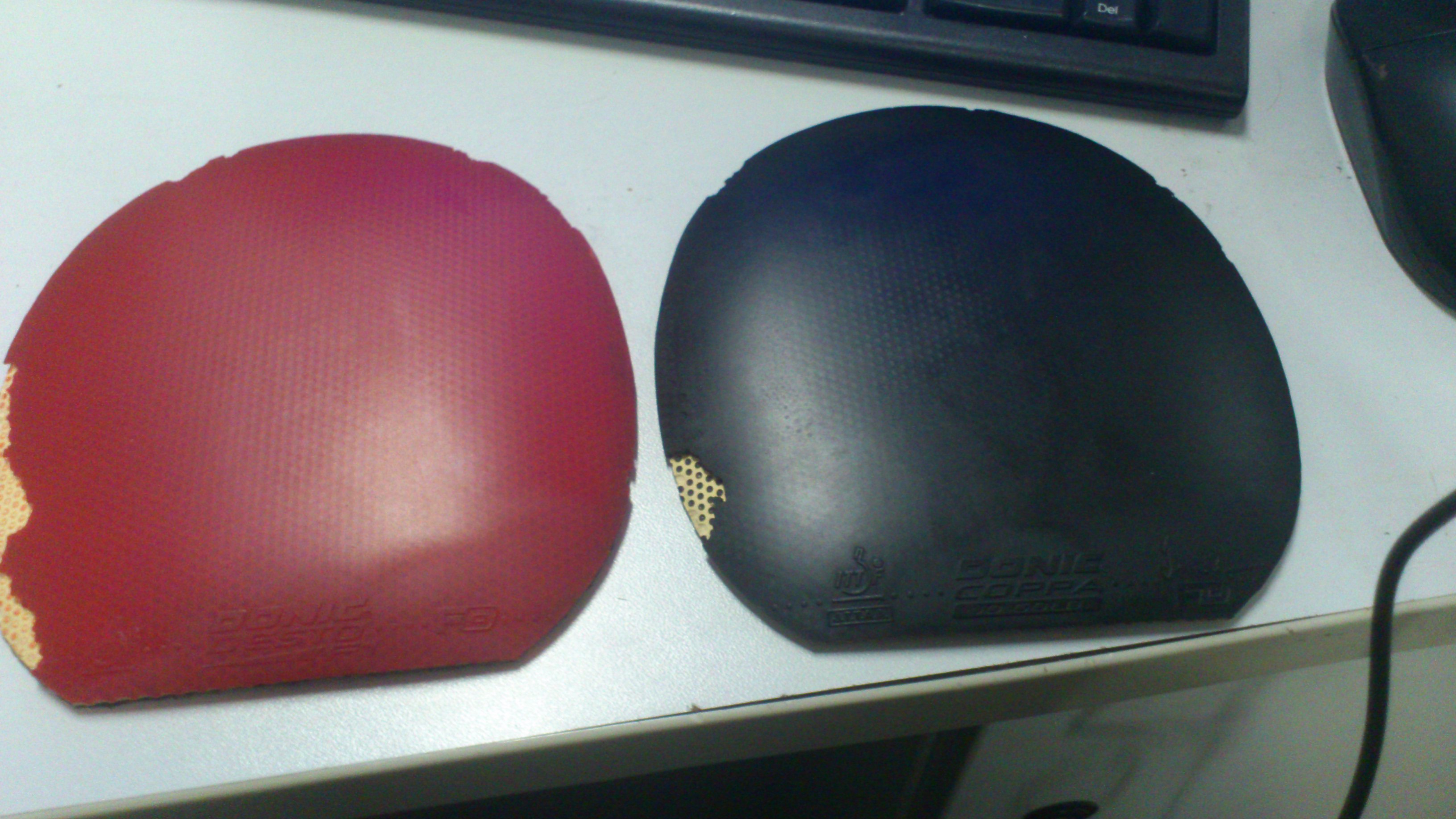 �л����������պ�������R5 ���յ������ֵܻ���������