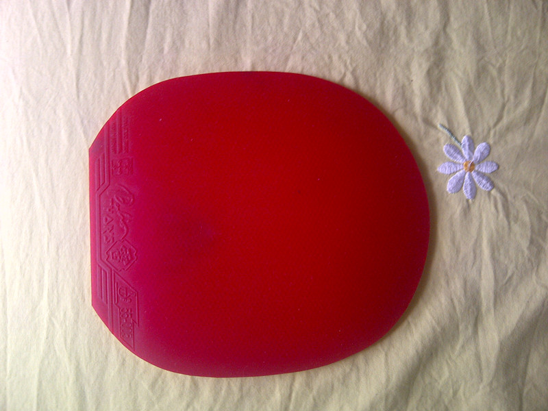 ����֧����������һ�����palio ���ס����칭��һ���칭3��������������Ҫ��������������