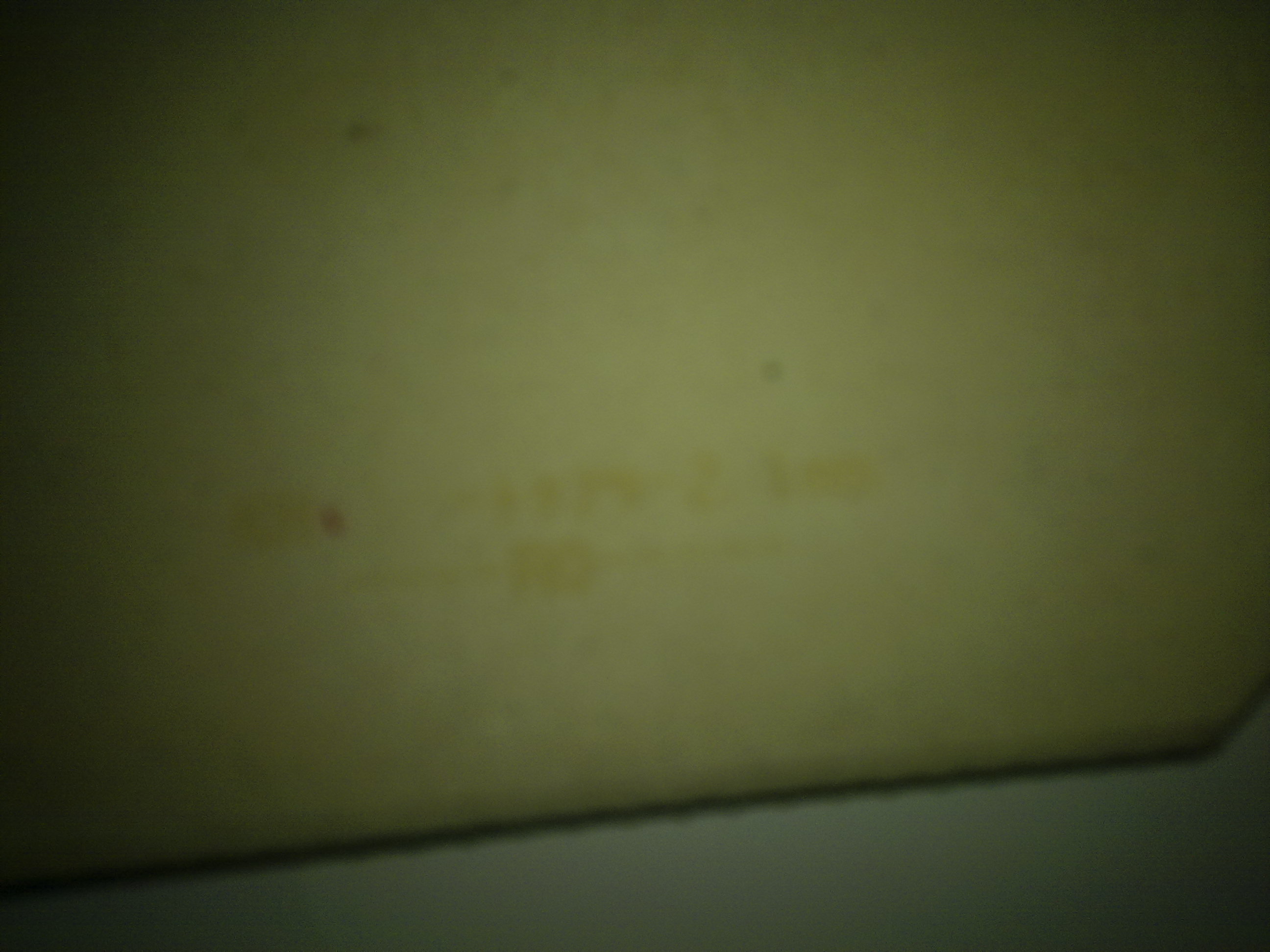 �����鲻�õ��׽�