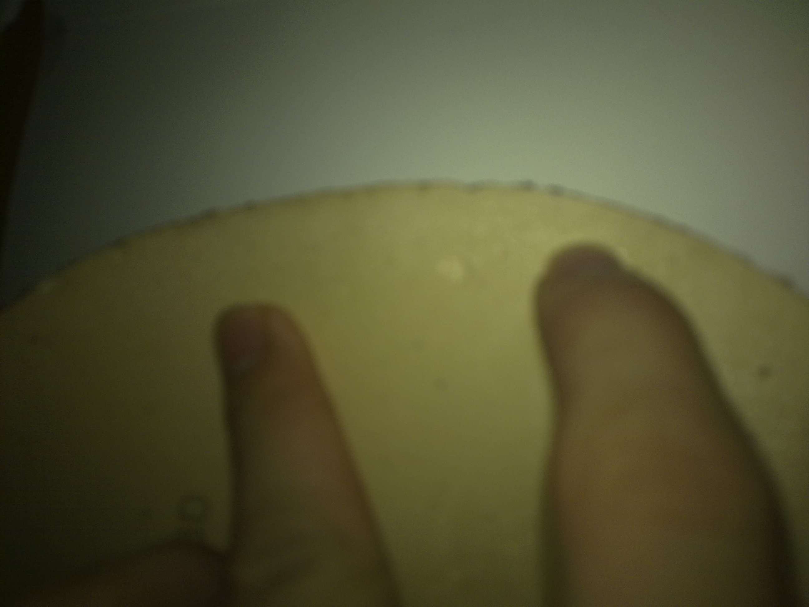 �����鲻�õ��׽�