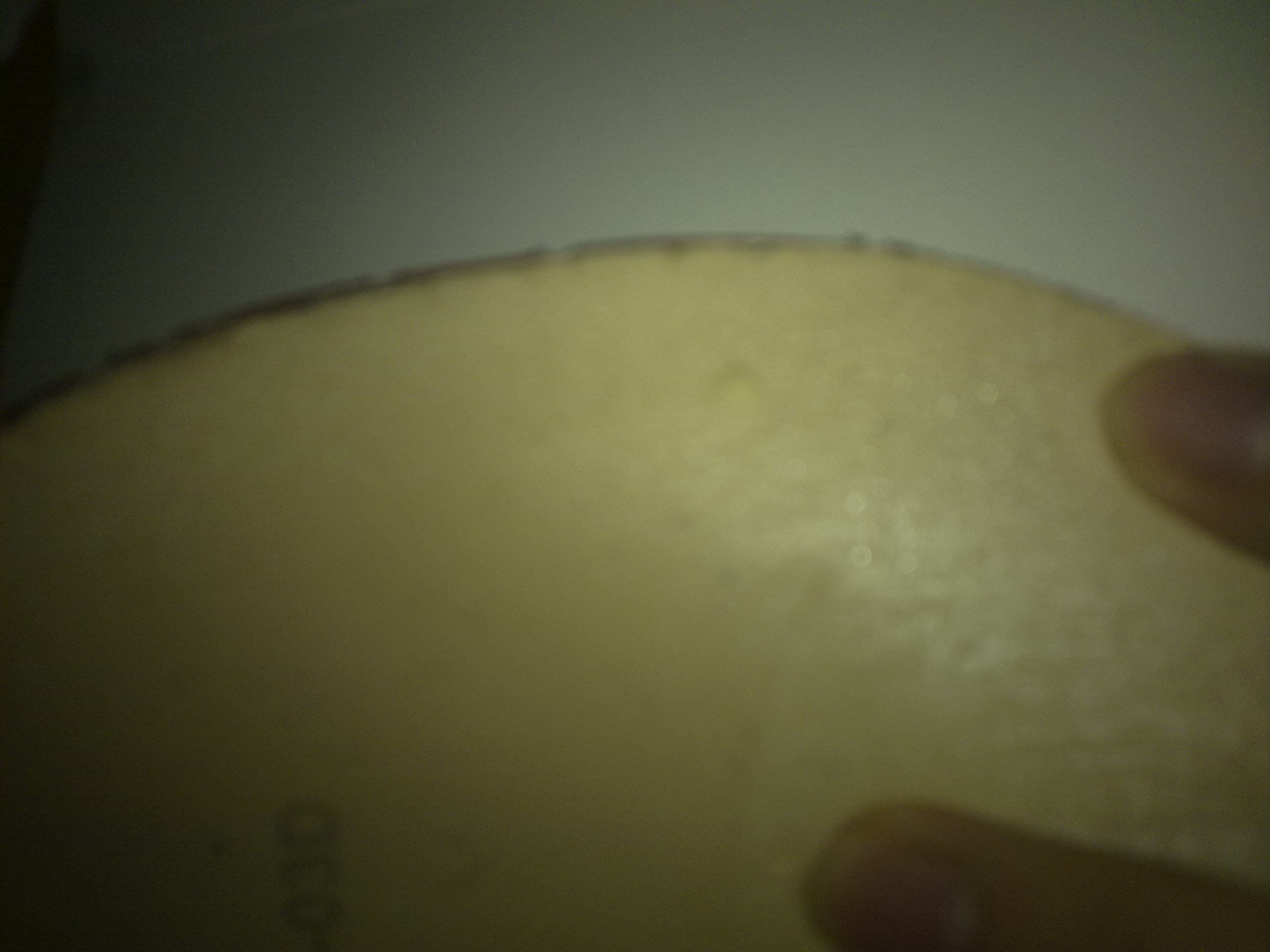 �����鲻�õ��׽�