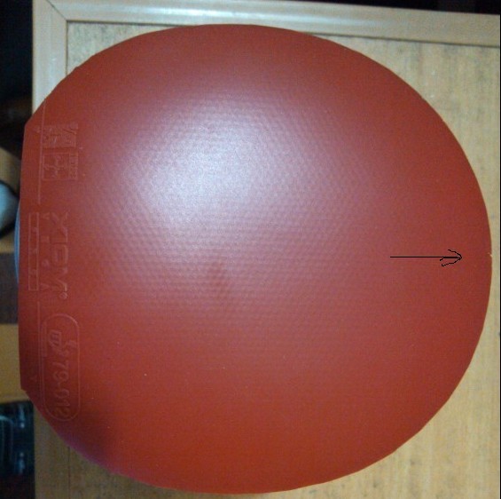 [ԭ��]��ת��һ���ɫ����XIOMά����V��9����100����ͨ)