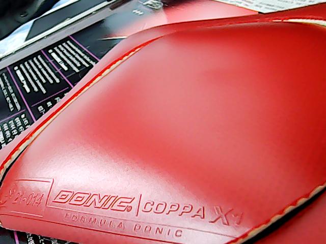 �����׽�Ķ����X1���켫3��һϵ���׽�