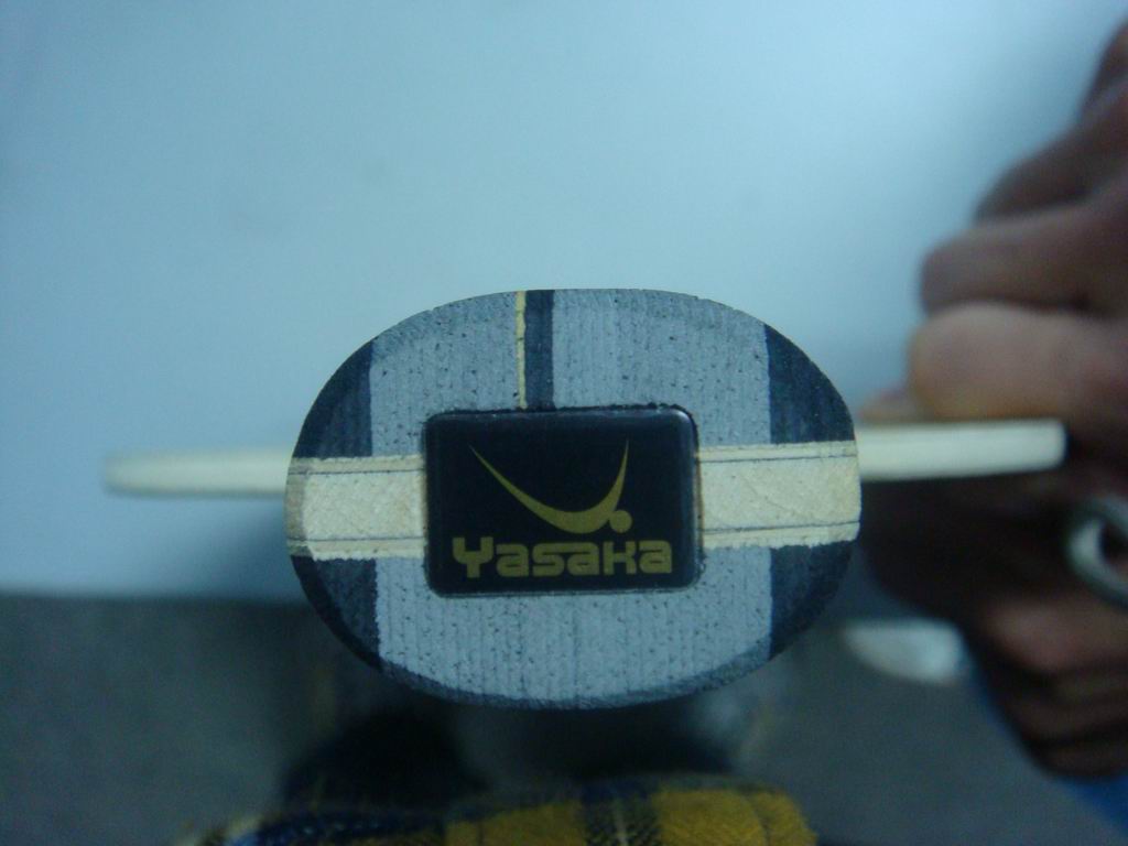 �����ѷ���ŷ��YCA