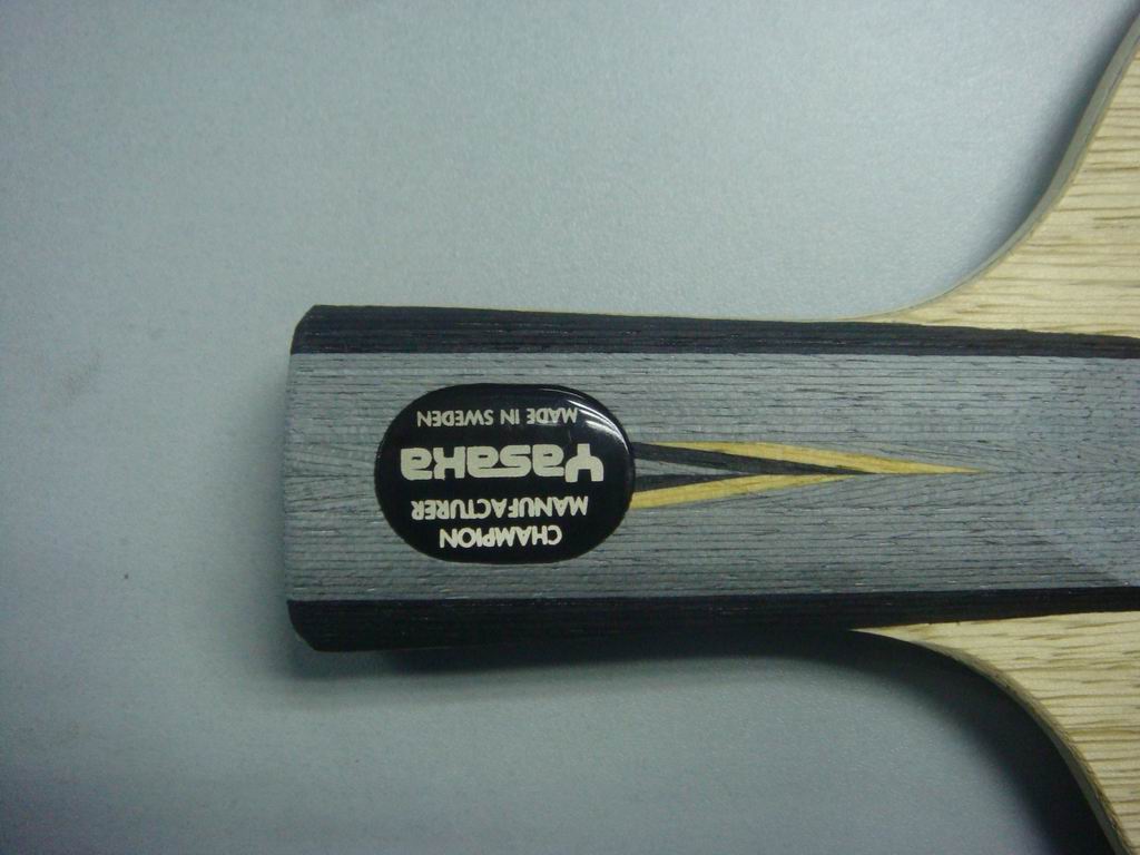 �����ѷ���ŷ��YCA