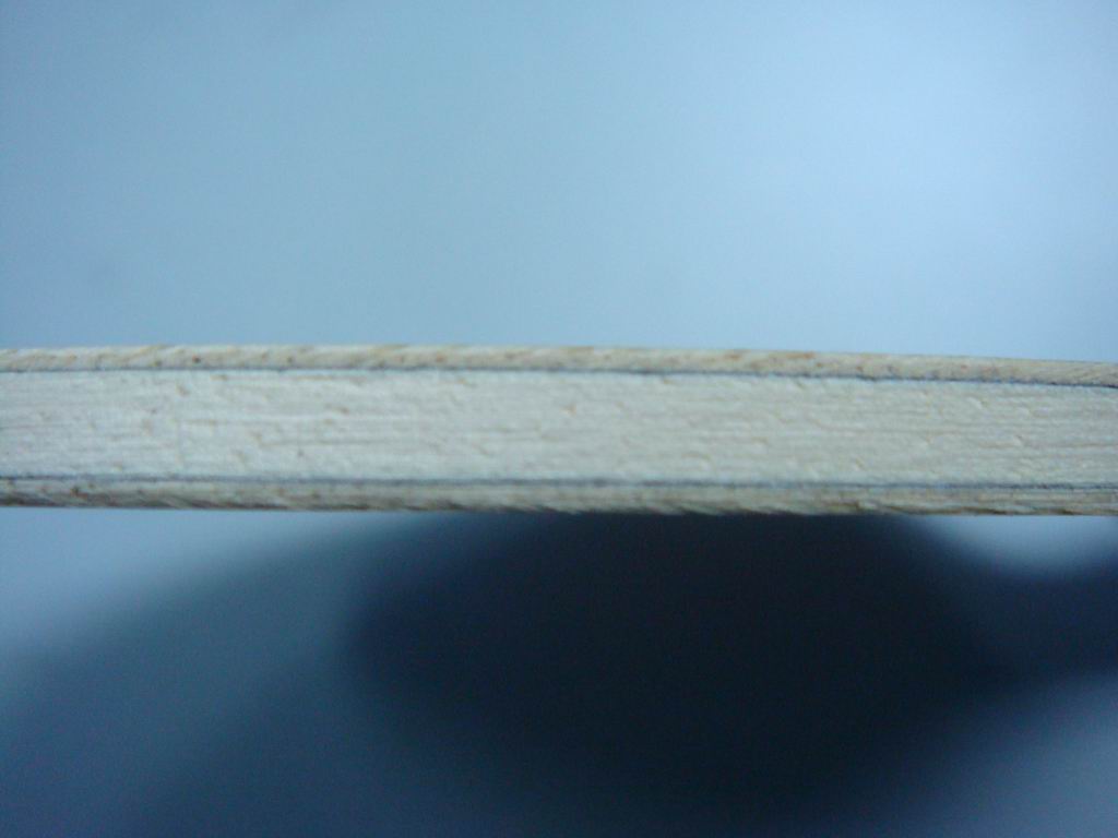 �����ѷ���ŷ��YCA