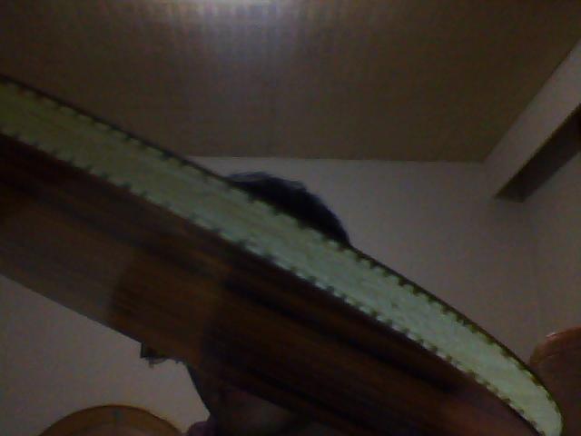 ���л�õ��5����һ��С�˿���������550���ʣ��绰15168612861֧��֧����Ҳ�����ȿ�