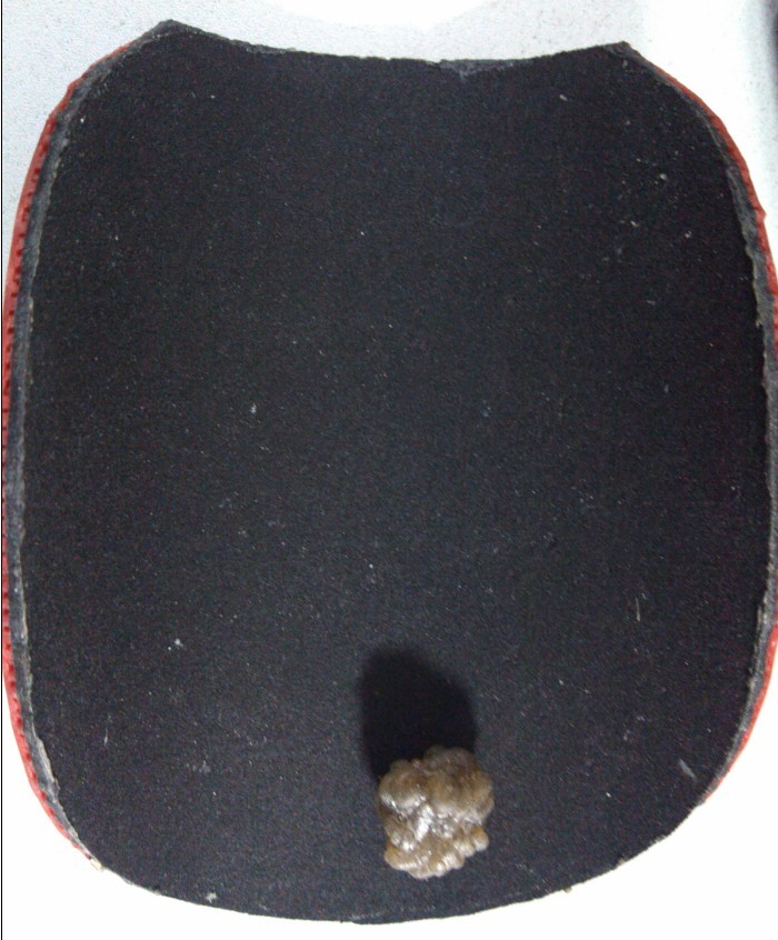 [ԭ��]ת��һ���ɫ����XIOMά����V��9����100����ͨ)�Ѿ�����������ͼ