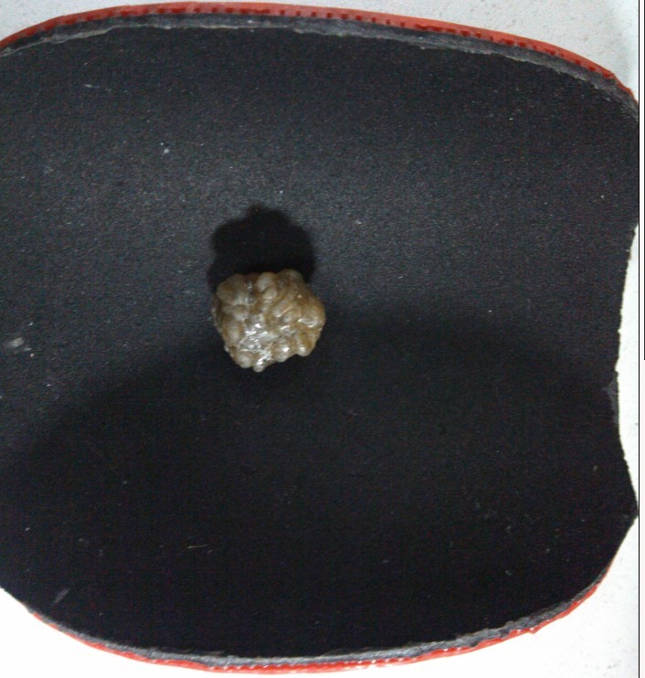 [ԭ��]ת��һ���ɫ����XIOMά����V��9����100����ͨ)�Ѿ�����������ͼ