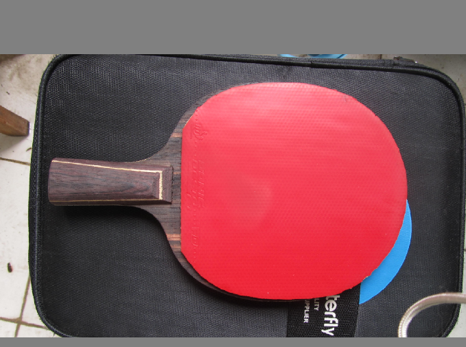 ���ѳ�һ�����Ƶİ��� ������F1������